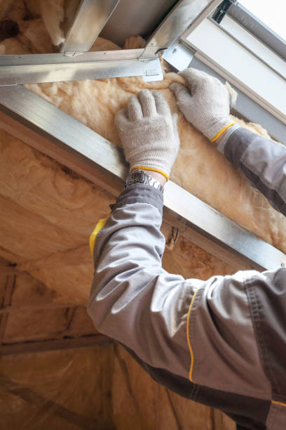 Fireproof Insulation in Lead, SD